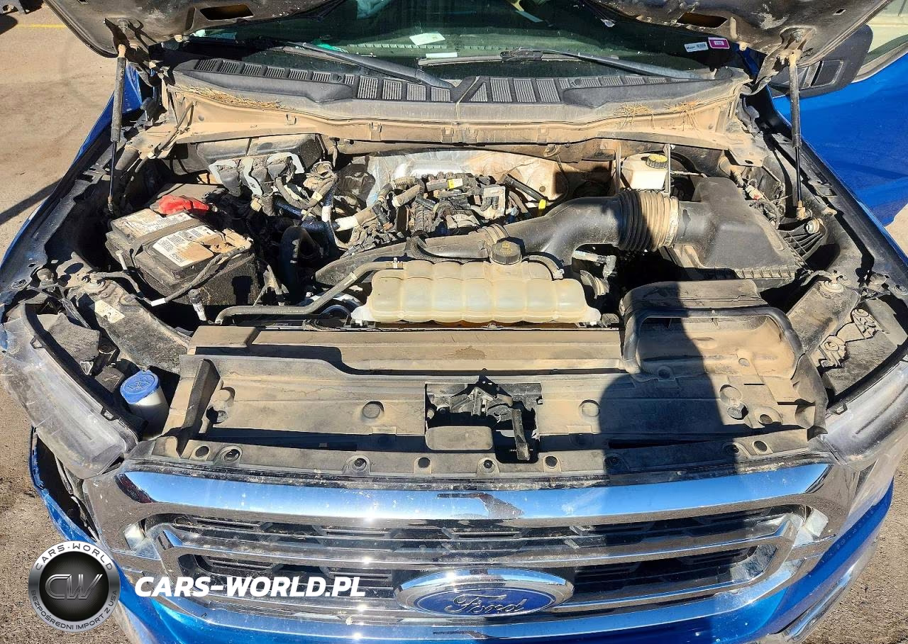 2021 Ford F150 Supercrew VIN:1FTEW1CP8MFB94265 - 11