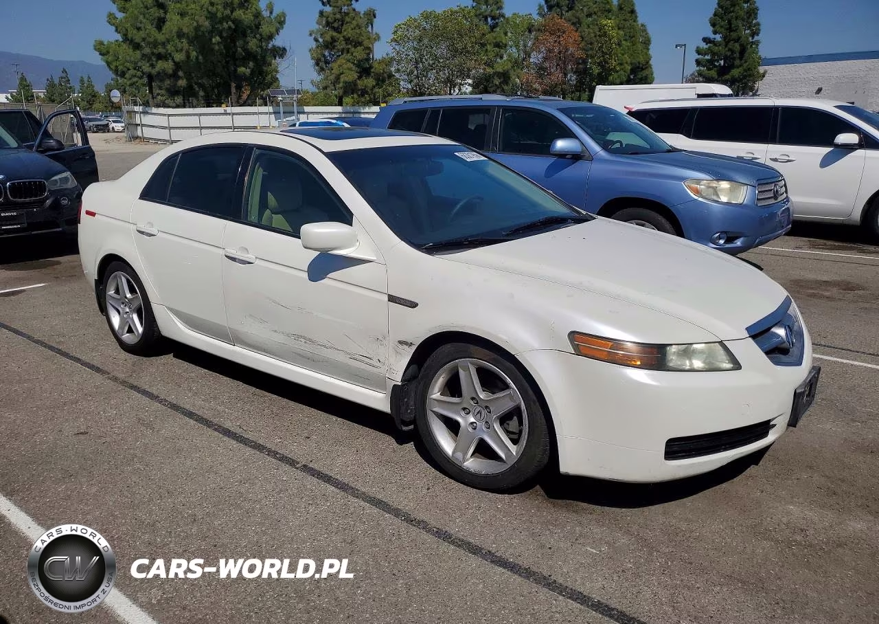 2006 Acura 3.2Tl VIN:19UUA66276A034600 - 4