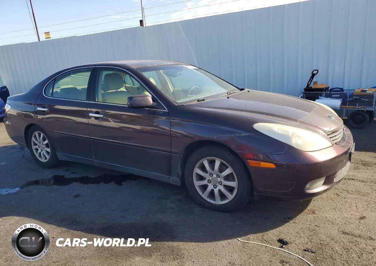 2002 Lexus Es 300 VIN:JTHBF30G125017853 - 4