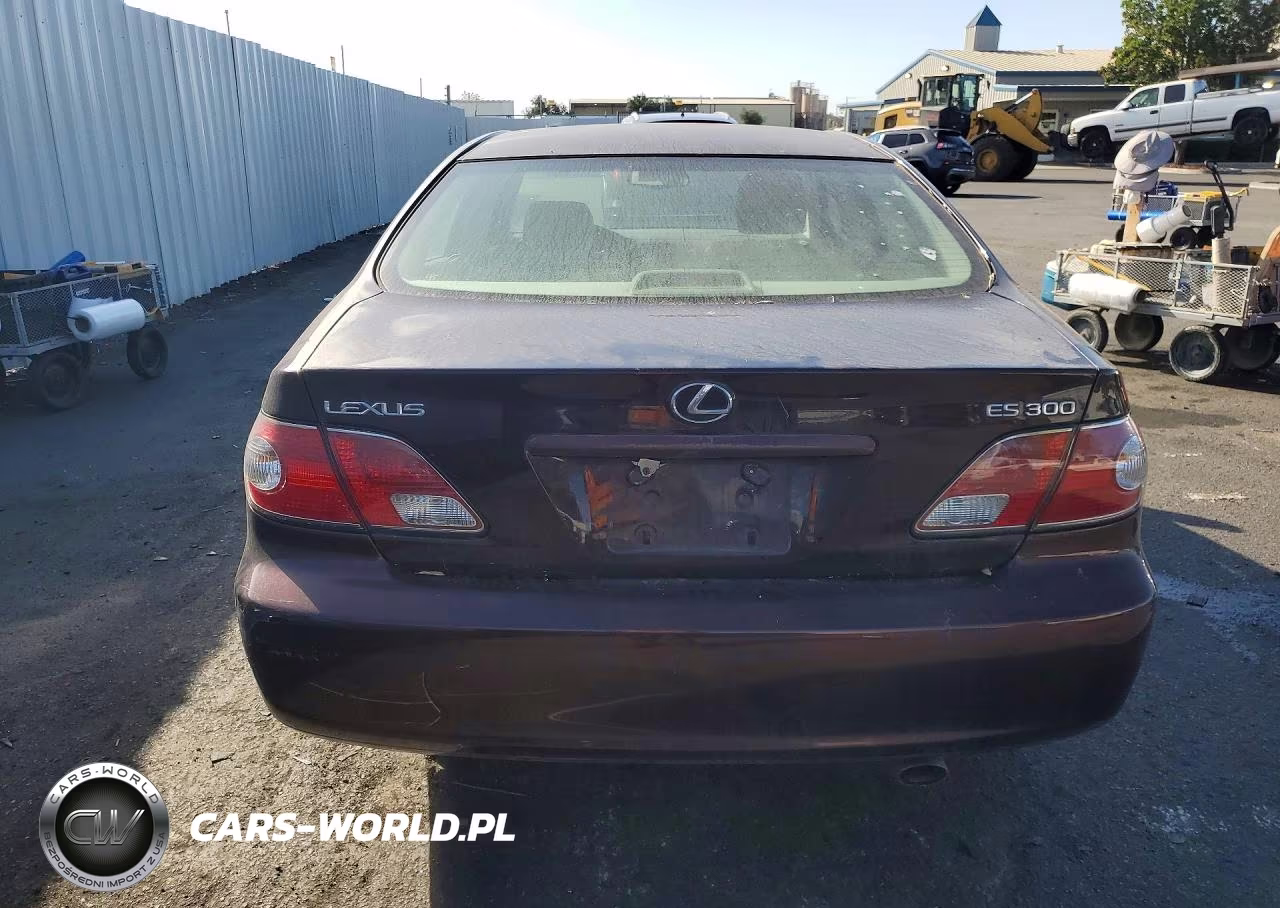 2002 Lexus Es 300 VIN:JTHBF30G125017853 - 6