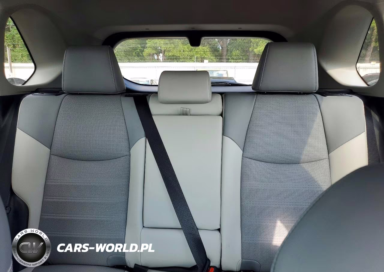 2019 Toyota Rav4 Limited VIN:2T3Y1RFV7KW045801 - 10