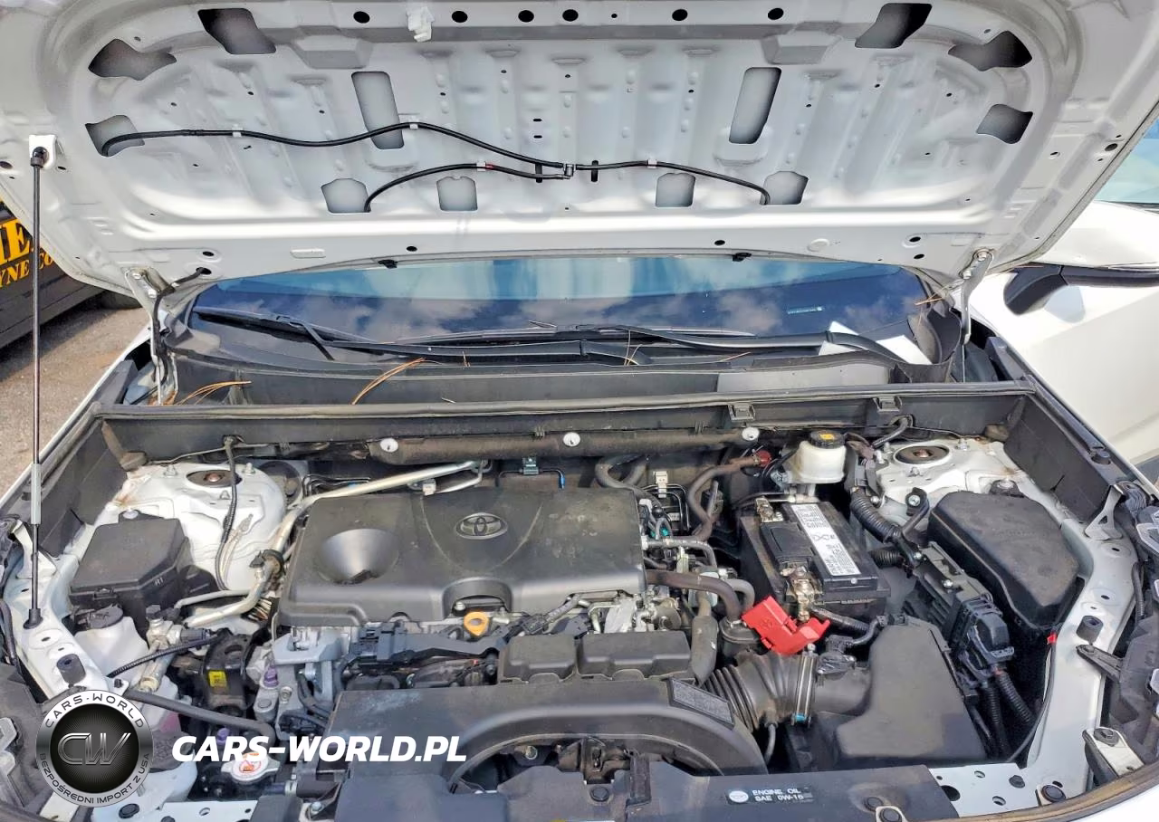2019 Toyota Rav4 Limited VIN:2T3Y1RFV7KW045801 - 12