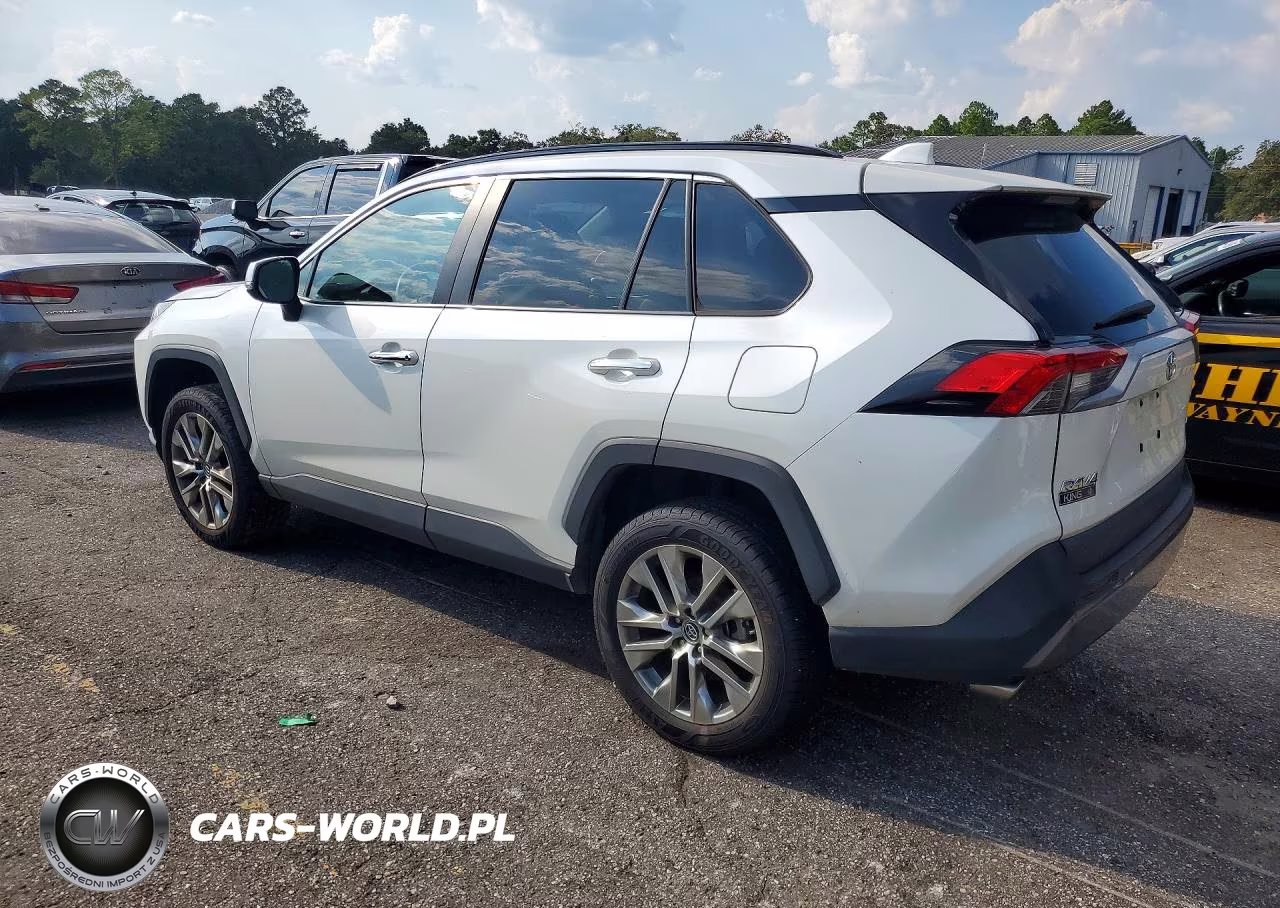 2019 Toyota Rav4 Limited VIN:2T3Y1RFV7KW045801 - 2