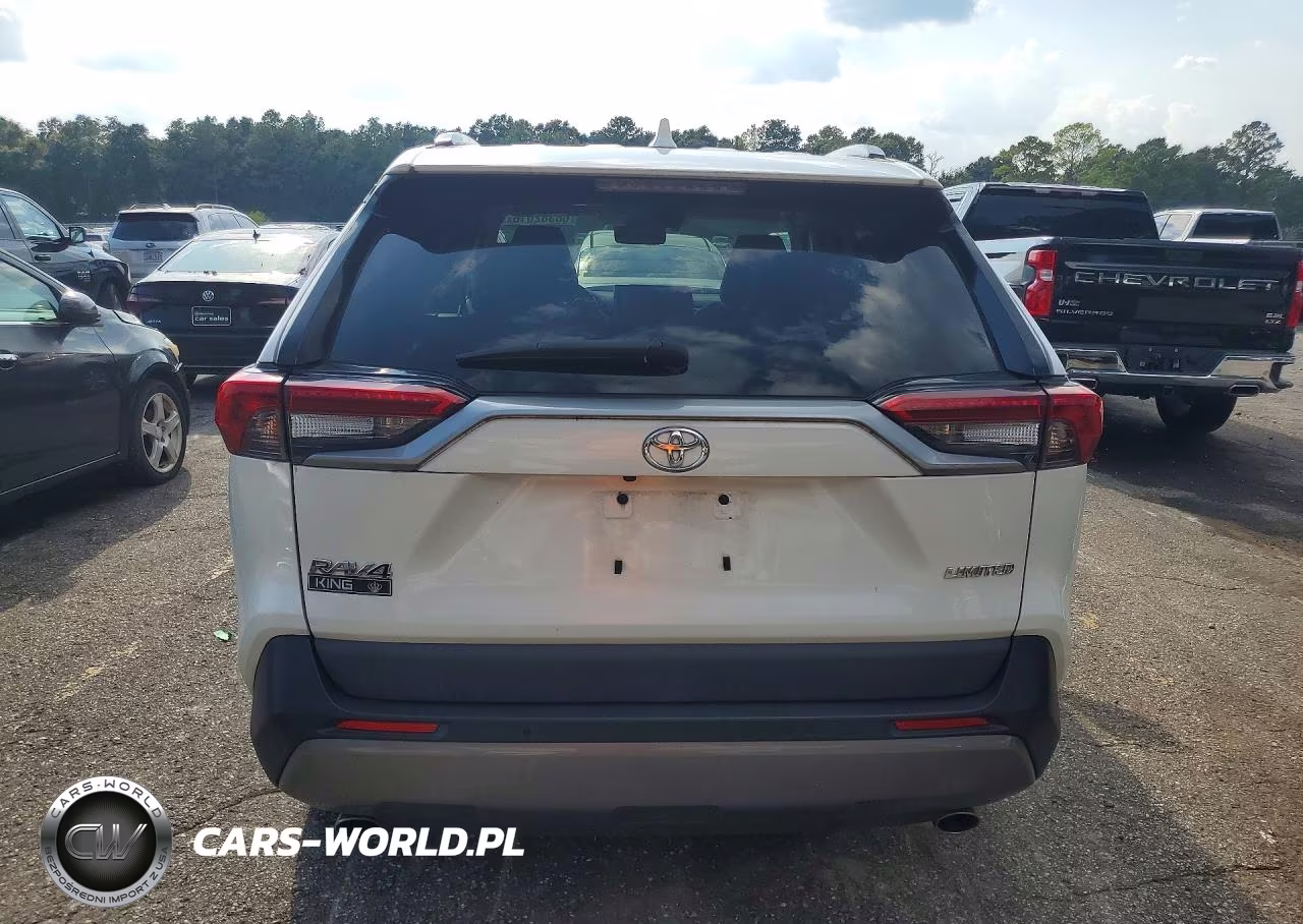 2019 Toyota Rav4 Limited VIN:2T3Y1RFV7KW045801 - 6