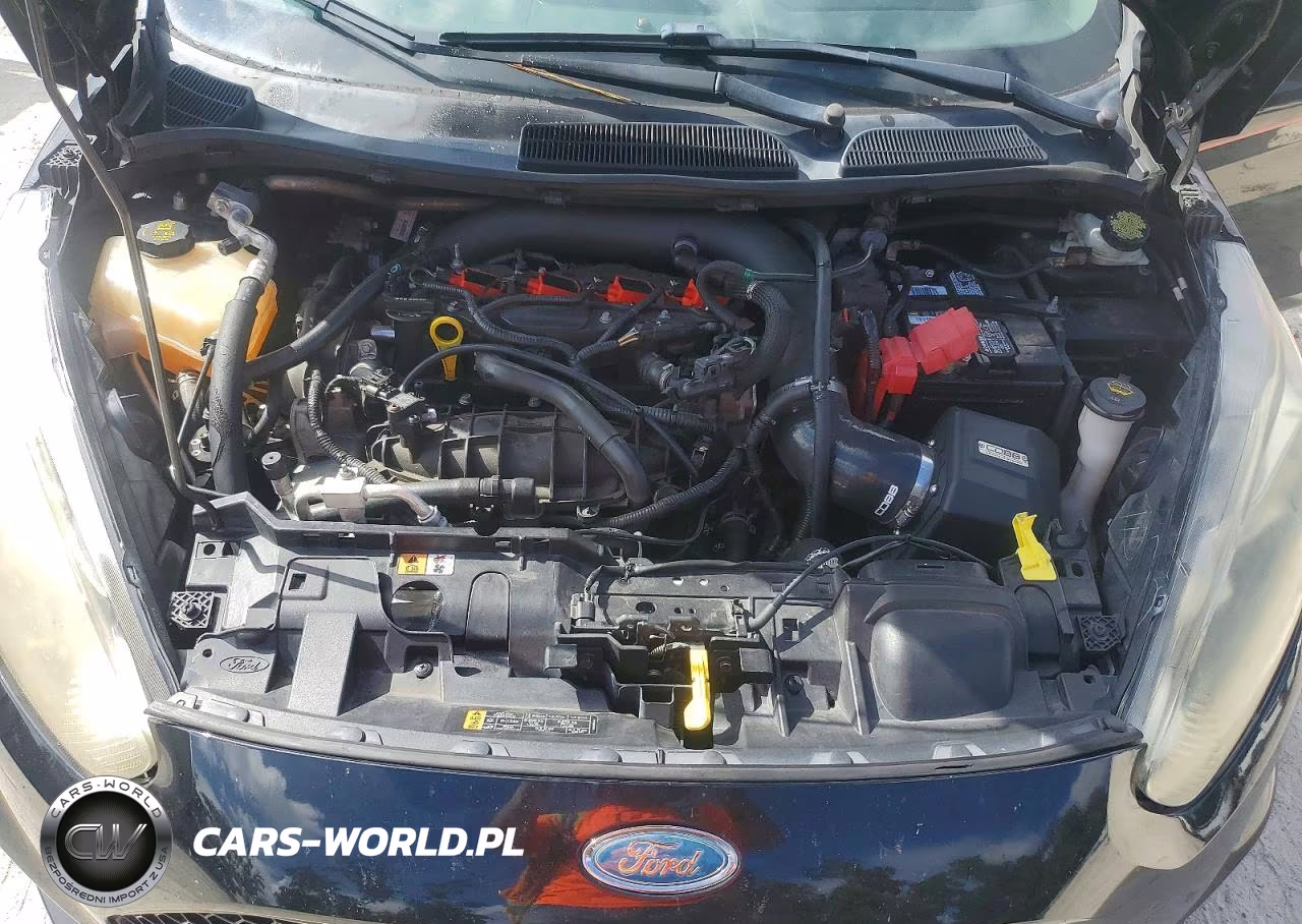 2017 Ford Fiesta St VIN:3FADP4GXXHM144418 - 11