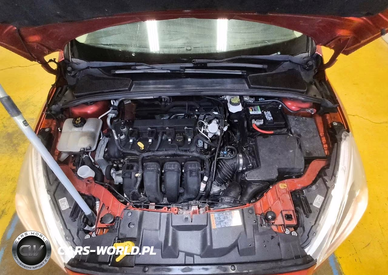 2018 Ford Focus Se VIN:1FADP3F23JL316201 - 11