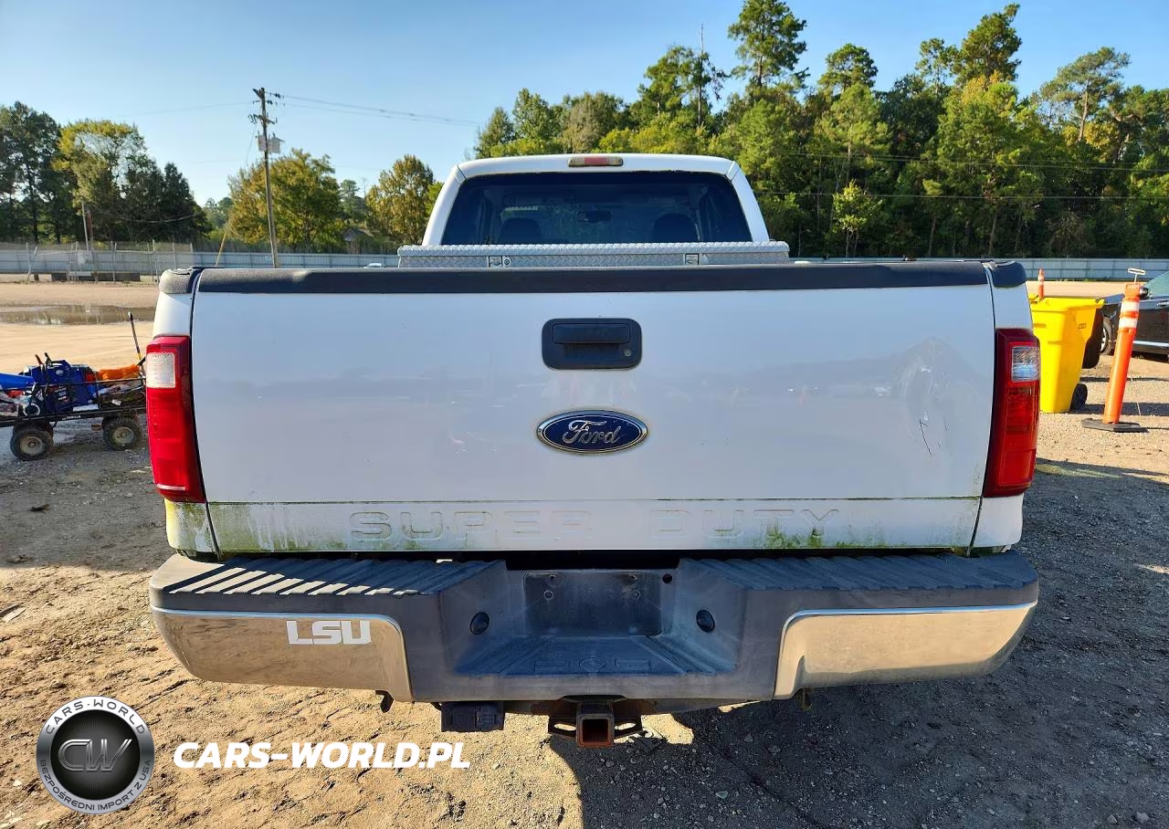 2010 Ford F250 Super Duty VIN:1FTSX2A59AEB04419 - 6