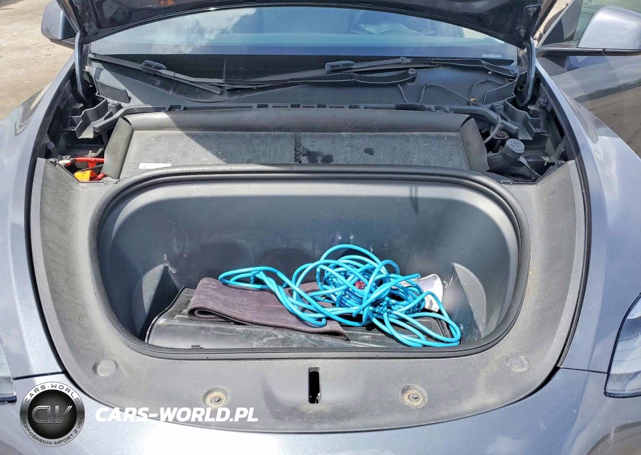 2023 Tesla Model Y VIN:7SAYGDEEXPA197135 - 12