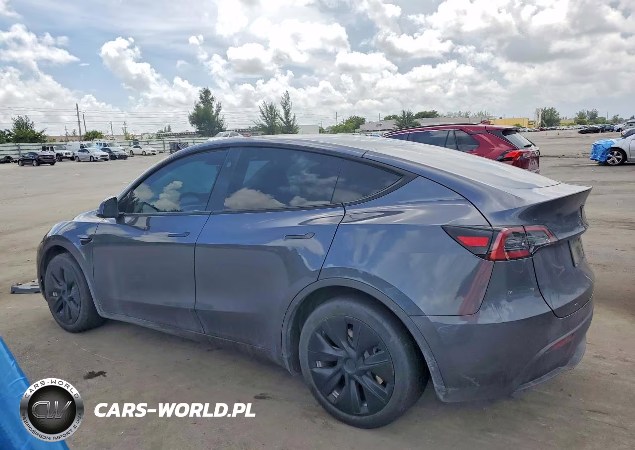 2023 Tesla Model Y VIN:7SAYGDEEXPA197135 - 2
