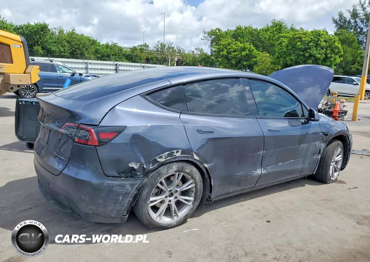 2023 Tesla Model Y VIN:7SAYGDEEXPA197135 - 3