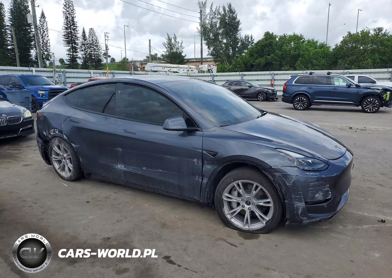 2023 Tesla Model Y VIN:7SAYGDEEXPA197135 - 4