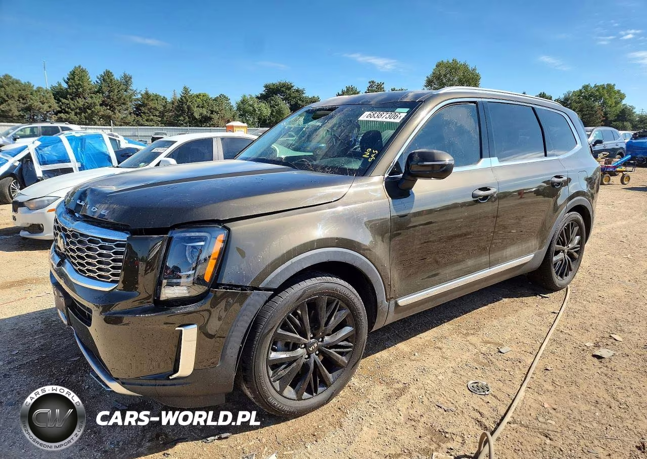 2020 Kia Telluride Ex VIN:5XYP3DHCXLG069613 - 1