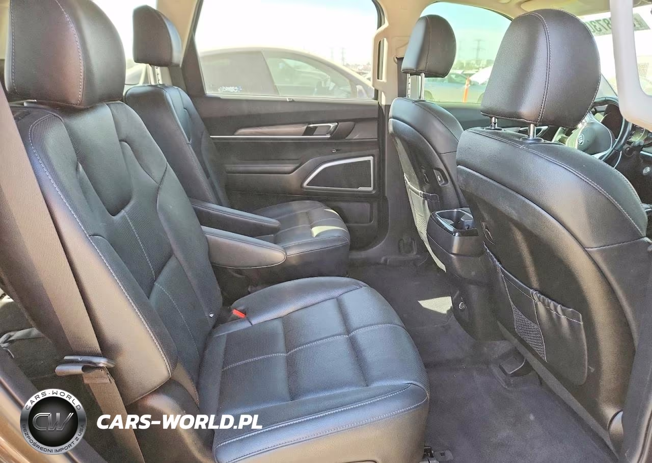 2020 Kia Telluride Ex VIN:5XYP3DHCXLG069613 - 10