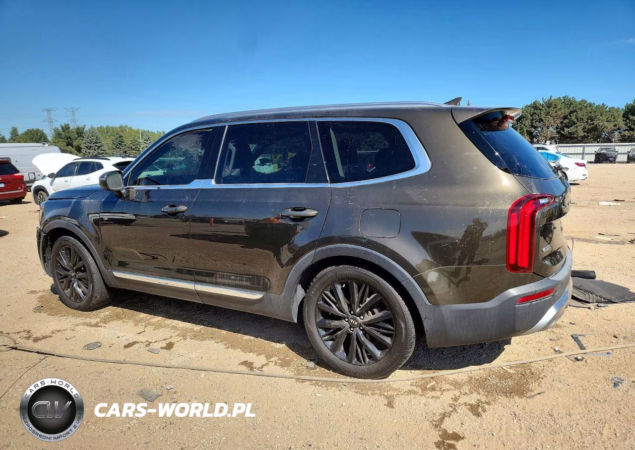 2020 Kia Telluride Ex VIN:5XYP3DHCXLG069613 - 2
