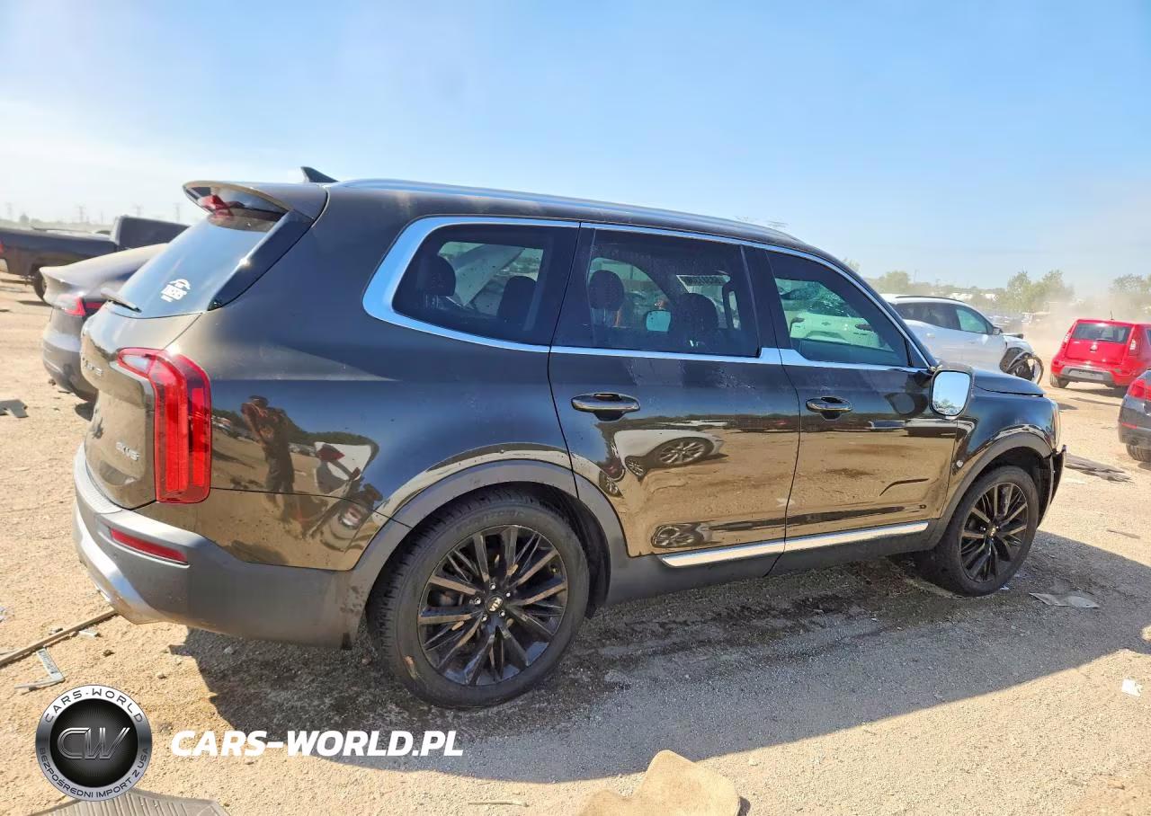 2020 Kia Telluride Ex VIN:5XYP3DHCXLG069613 - 3