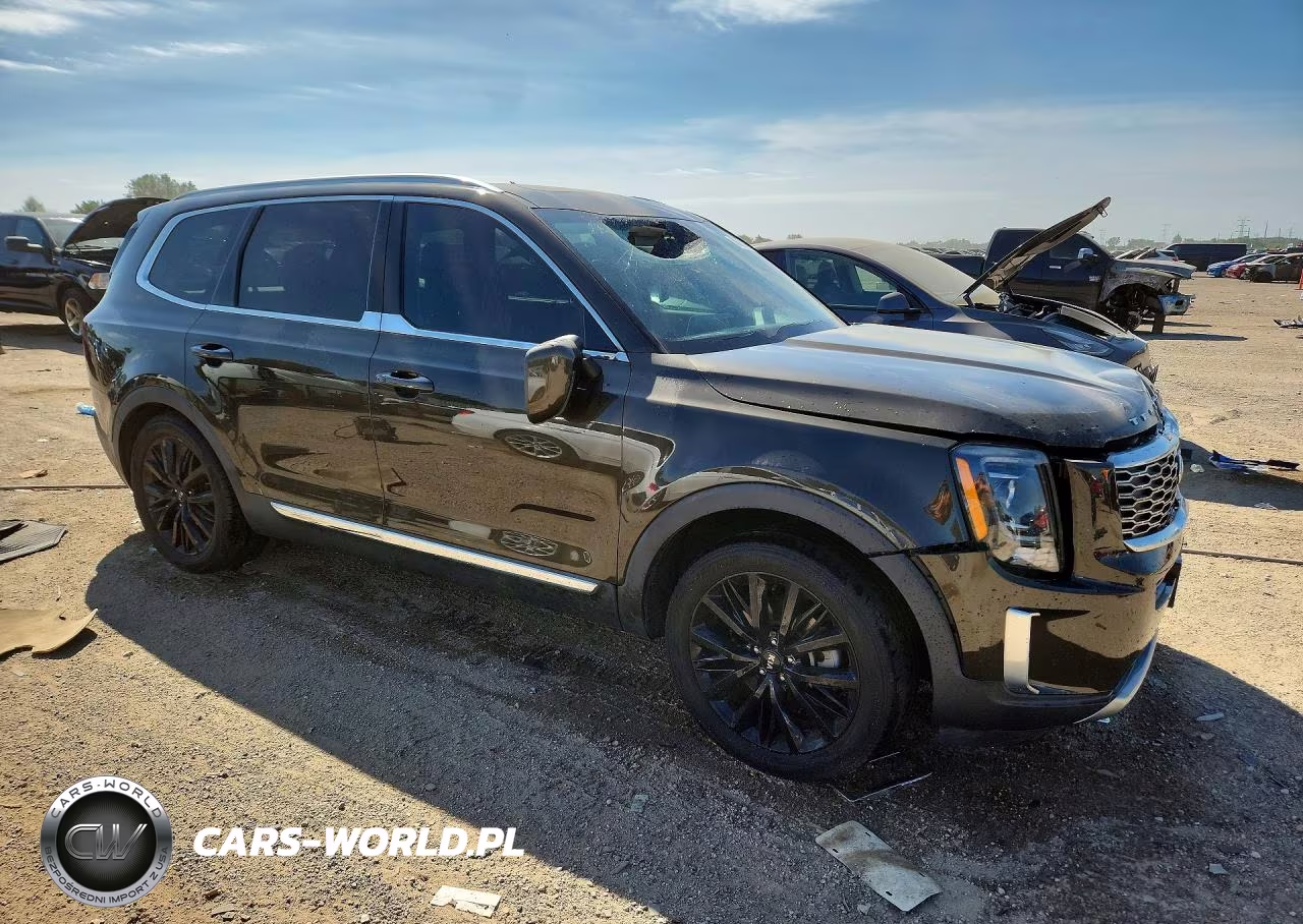 2020 Kia Telluride Ex VIN:5XYP3DHCXLG069613 - 4