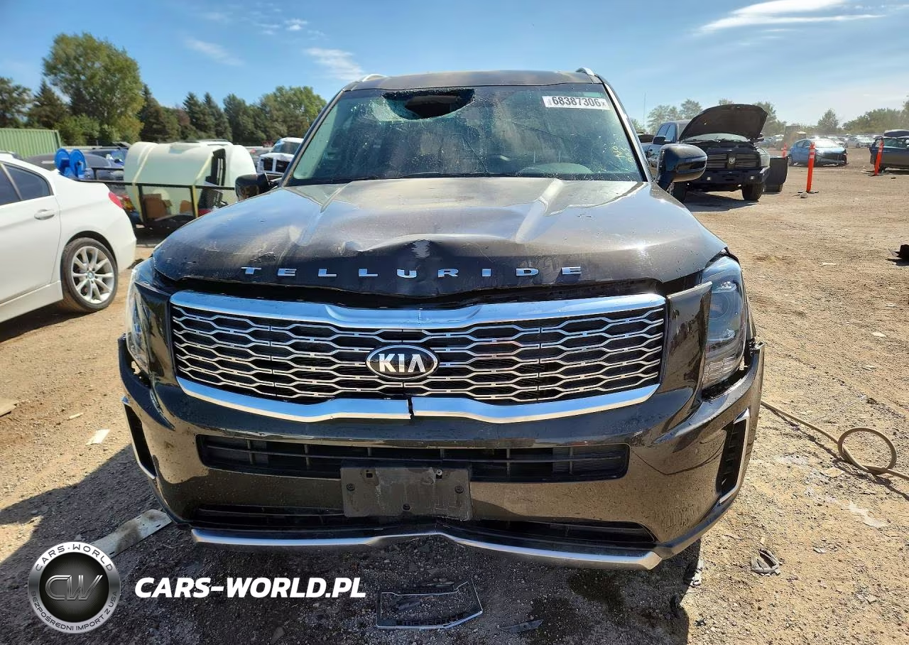 2020 Kia Telluride Ex VIN:5XYP3DHCXLG069613 - 5
