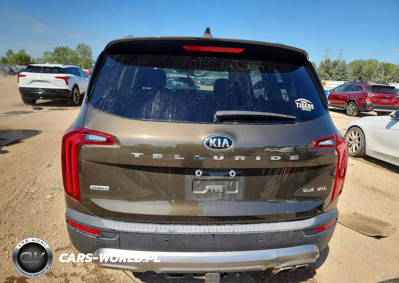 2020 Kia Telluride Ex VIN:5XYP3DHCXLG069613 - 6