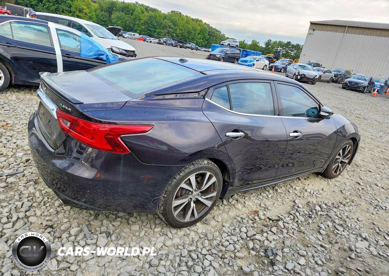 2016 Nissan Maxima Platinum VIN:1N4AA6AP5GC387059 - 3