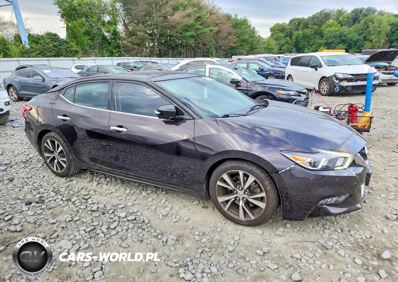 2016 Nissan Maxima Platinum VIN:1N4AA6AP5GC387059 - 4