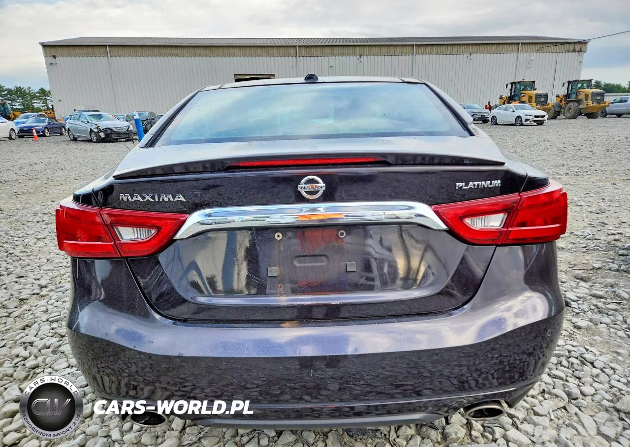 2016 Nissan Maxima Platinum VIN:1N4AA6AP5GC387059 - 6
