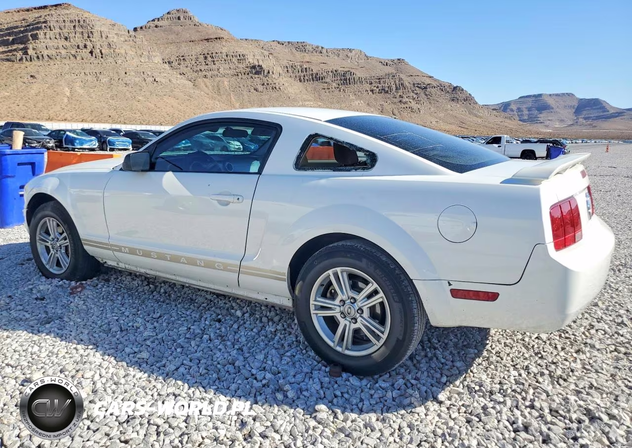 2005 Ford Mustang VIN:1ZVFT80N655104771 - 2