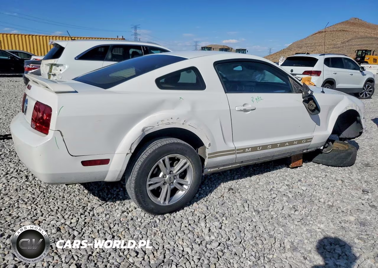 2005 Ford Mustang VIN:1ZVFT80N655104771 - 3
