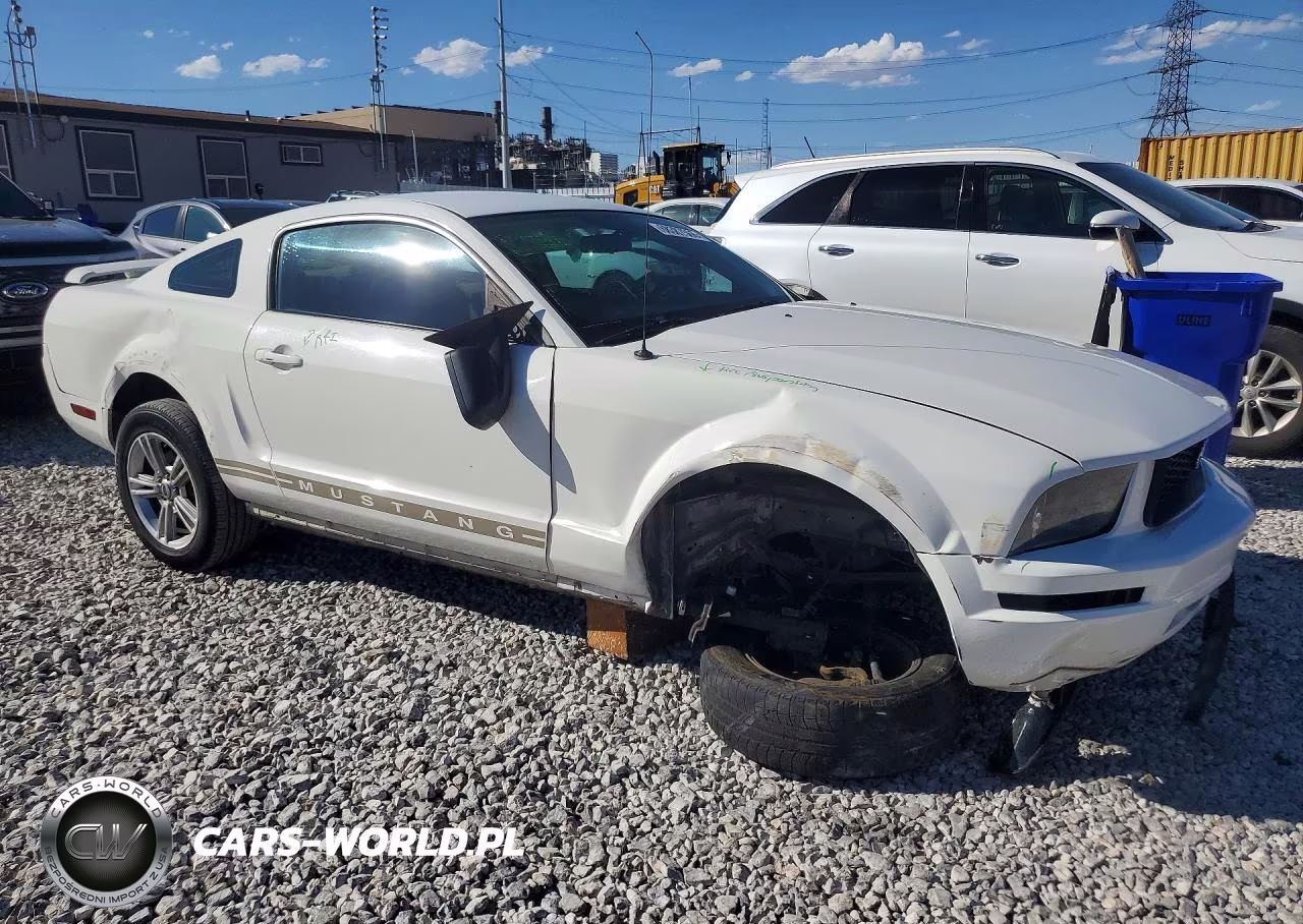 2005 Ford Mustang VIN:1ZVFT80N655104771 - 4