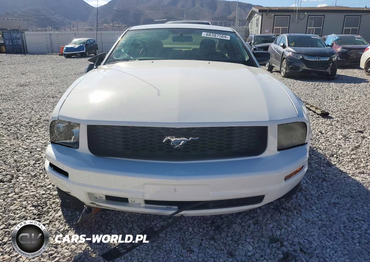 2005 Ford Mustang VIN:1ZVFT80N655104771 - 5