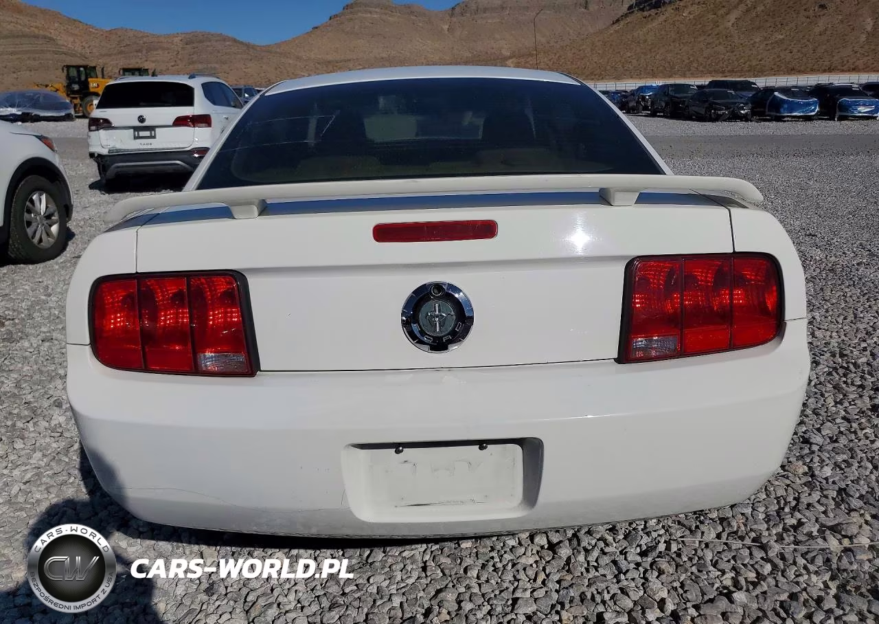 2005 Ford Mustang VIN:1ZVFT80N655104771 - 6
