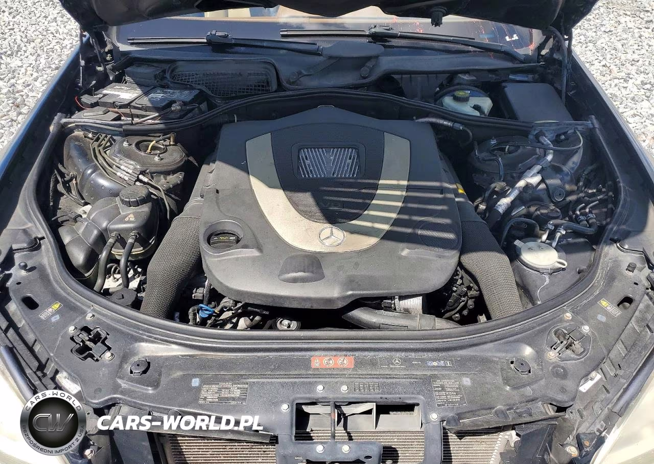2010 Mercedes-Benz S 550 VIN:WDDNG7BB5AA333532 - 11