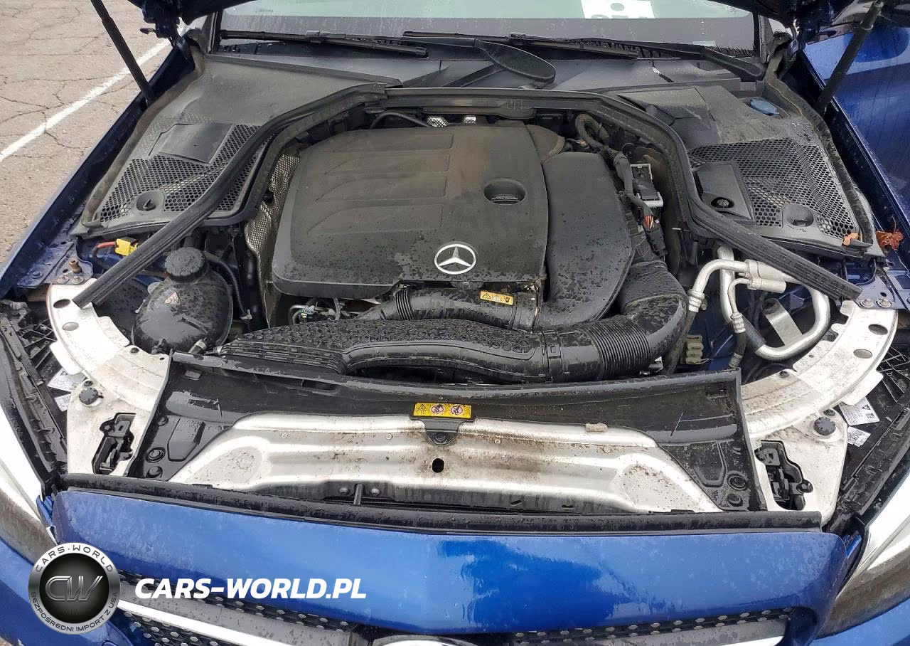 2020 Mercedes-Benz C 300 4Matic VIN:W1KWF8EB8LR597356 - 11