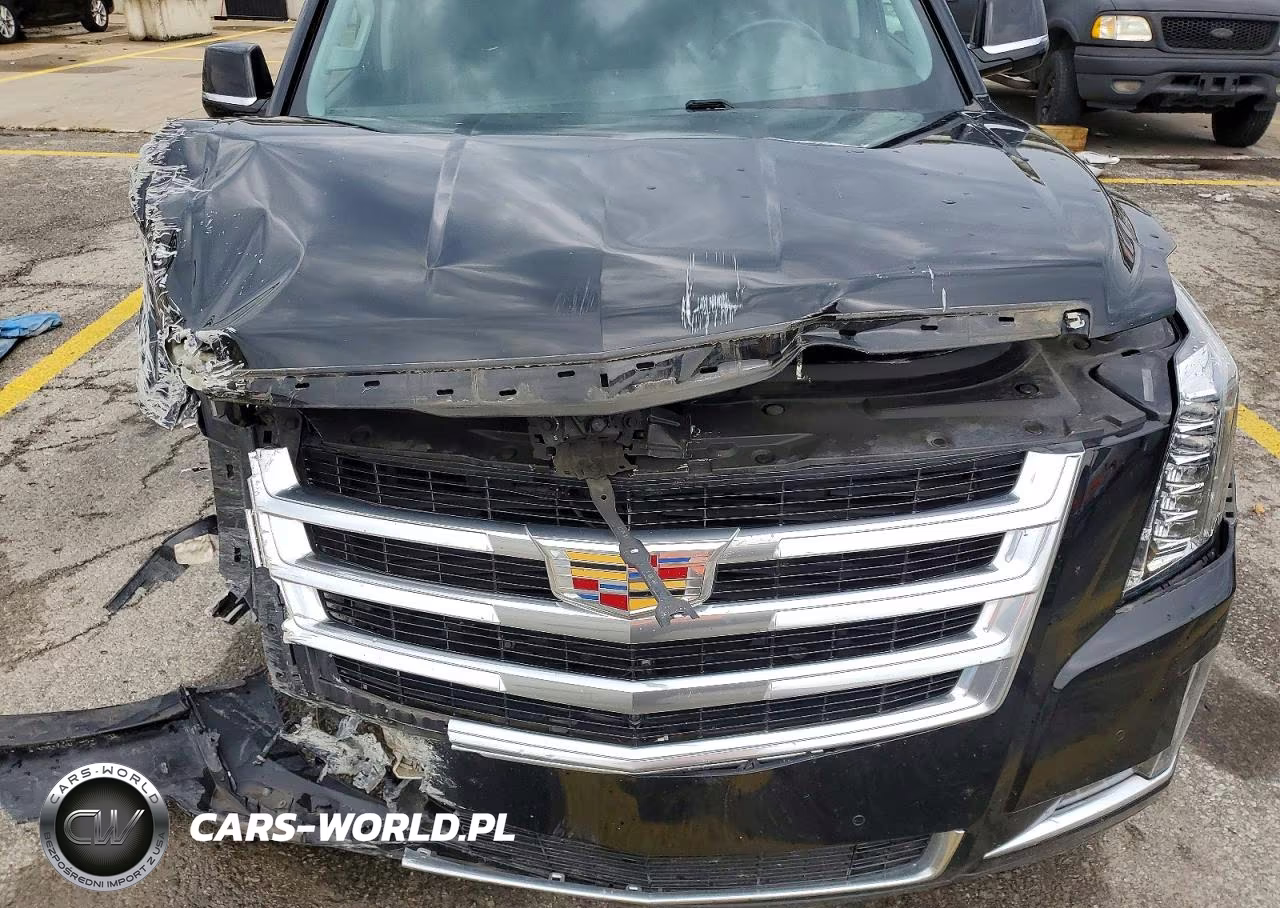 2016 Cadillac Escalade Esv Luxury VIN:1GYS4HKJ5GR482434 - 12