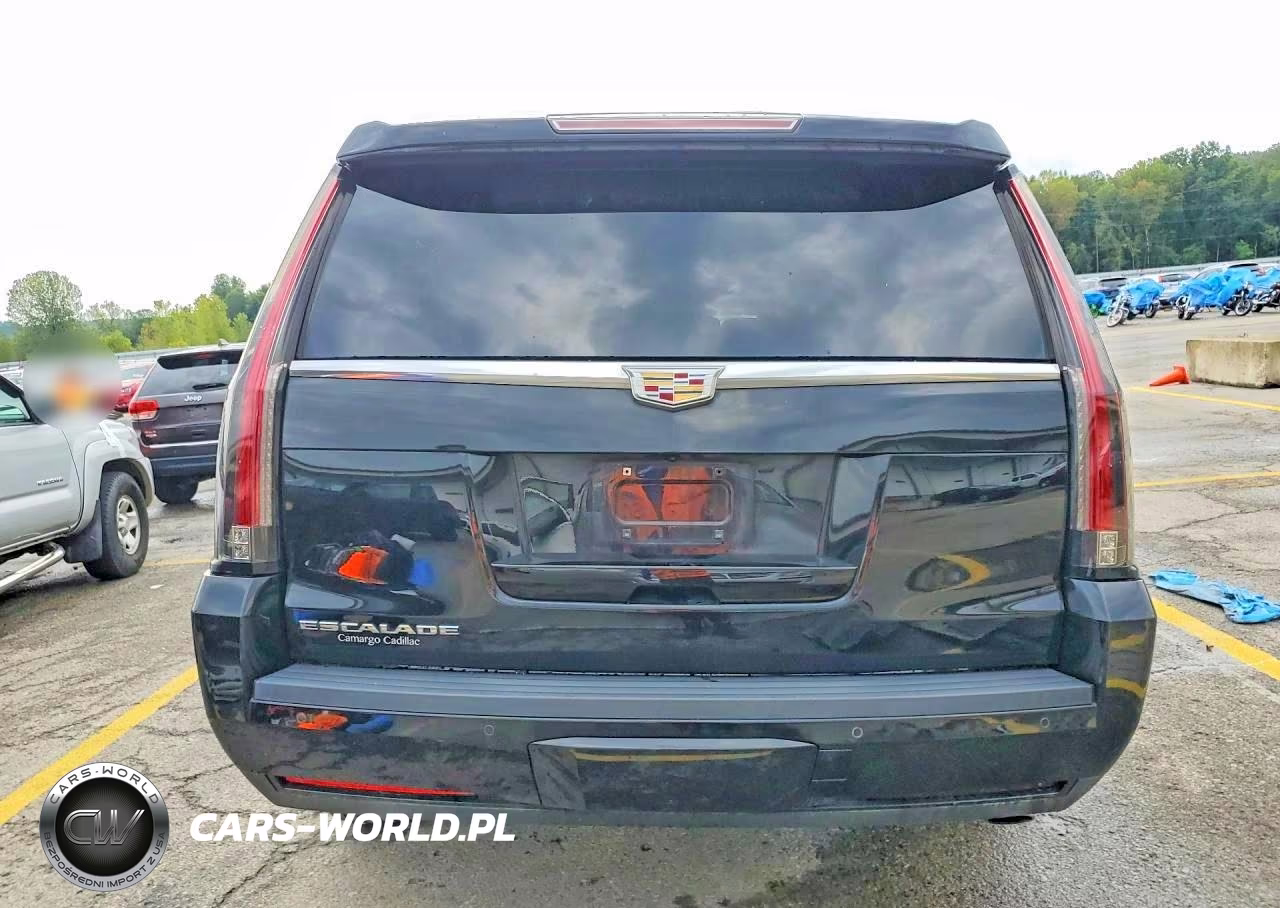 2016 Cadillac Escalade Esv Luxury VIN:1GYS4HKJ5GR482434 - 6