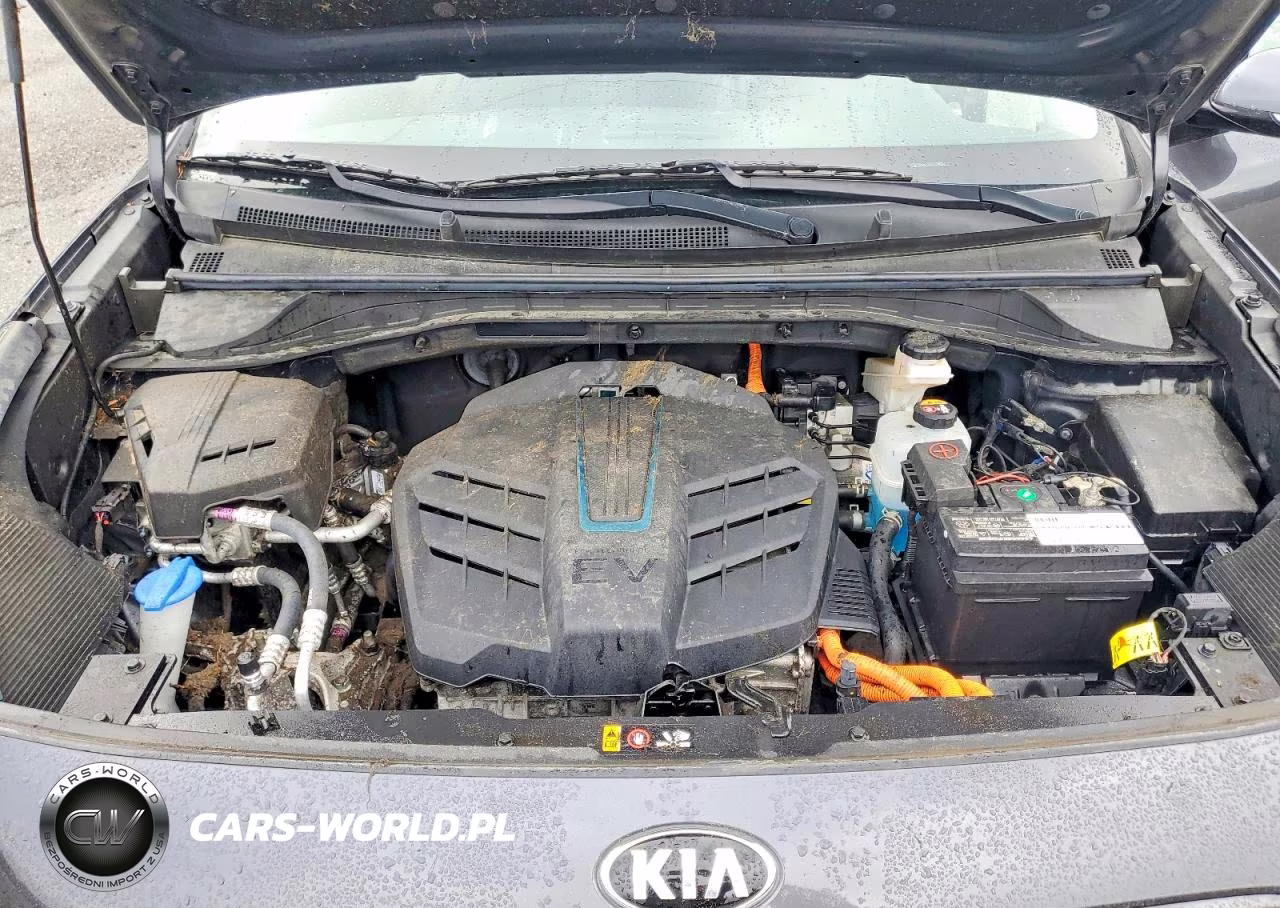 2019 Kia Niro Ex Premium VIN:KNDCE3LG7K5025816 - 12