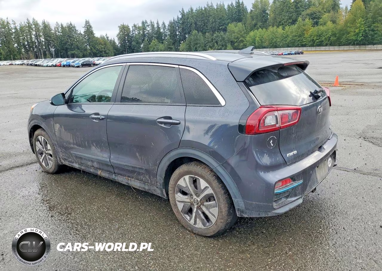 2019 Kia Niro Ex Premium VIN:KNDCE3LG7K5025816 - 2