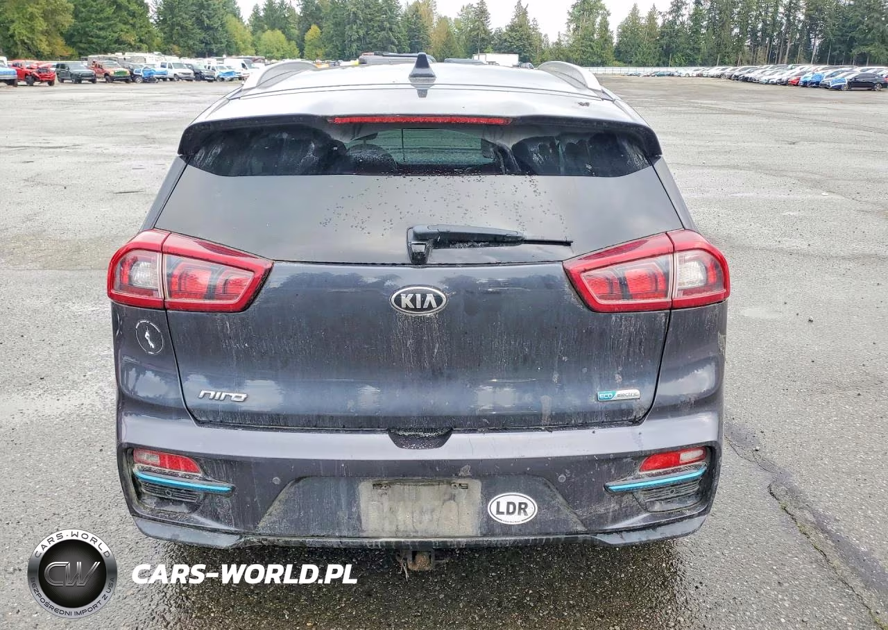 2019 Kia Niro Ex Premium VIN:KNDCE3LG7K5025816 - 6