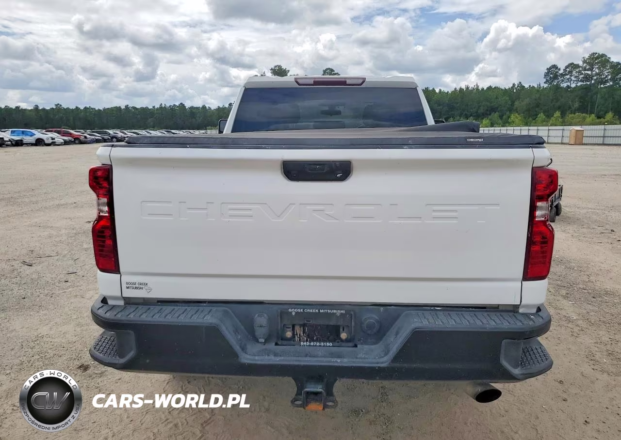 2021 Chevrolet Silverado K2500 Heavy Duty VIN:1GC5YLE77MF190680 - 6