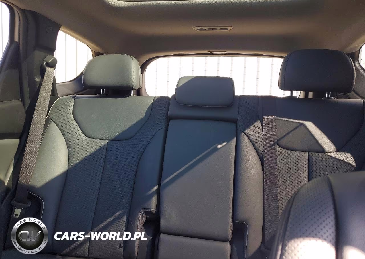 2023 Hyundai Santa Fe Limited VIN:5NMS4DAL0PH653418 - 10