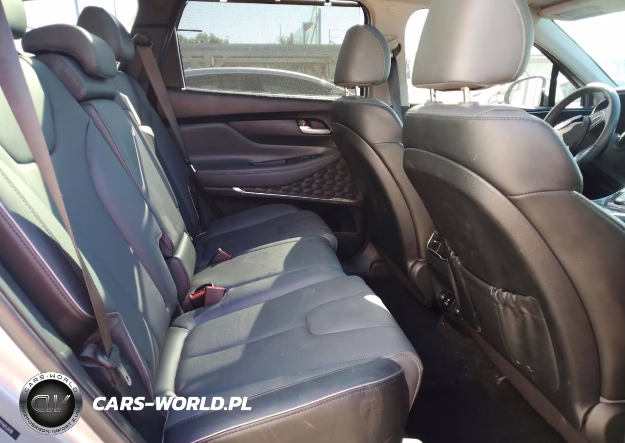 2023 Hyundai Santa Fe Limited VIN:5NMS4DAL0PH653418 - 11