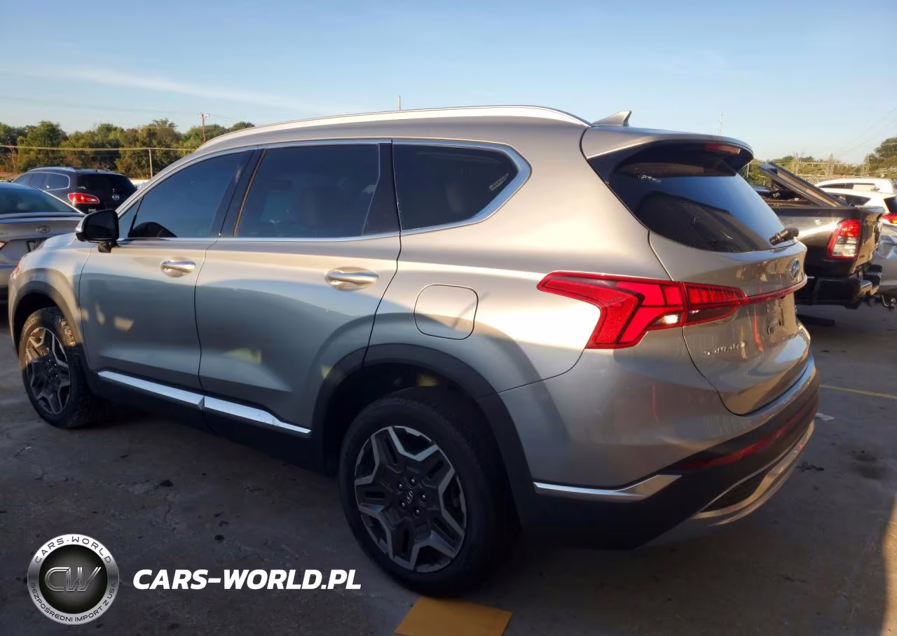 2023 Hyundai Santa Fe Limited VIN:5NMS4DAL0PH653418 - 2