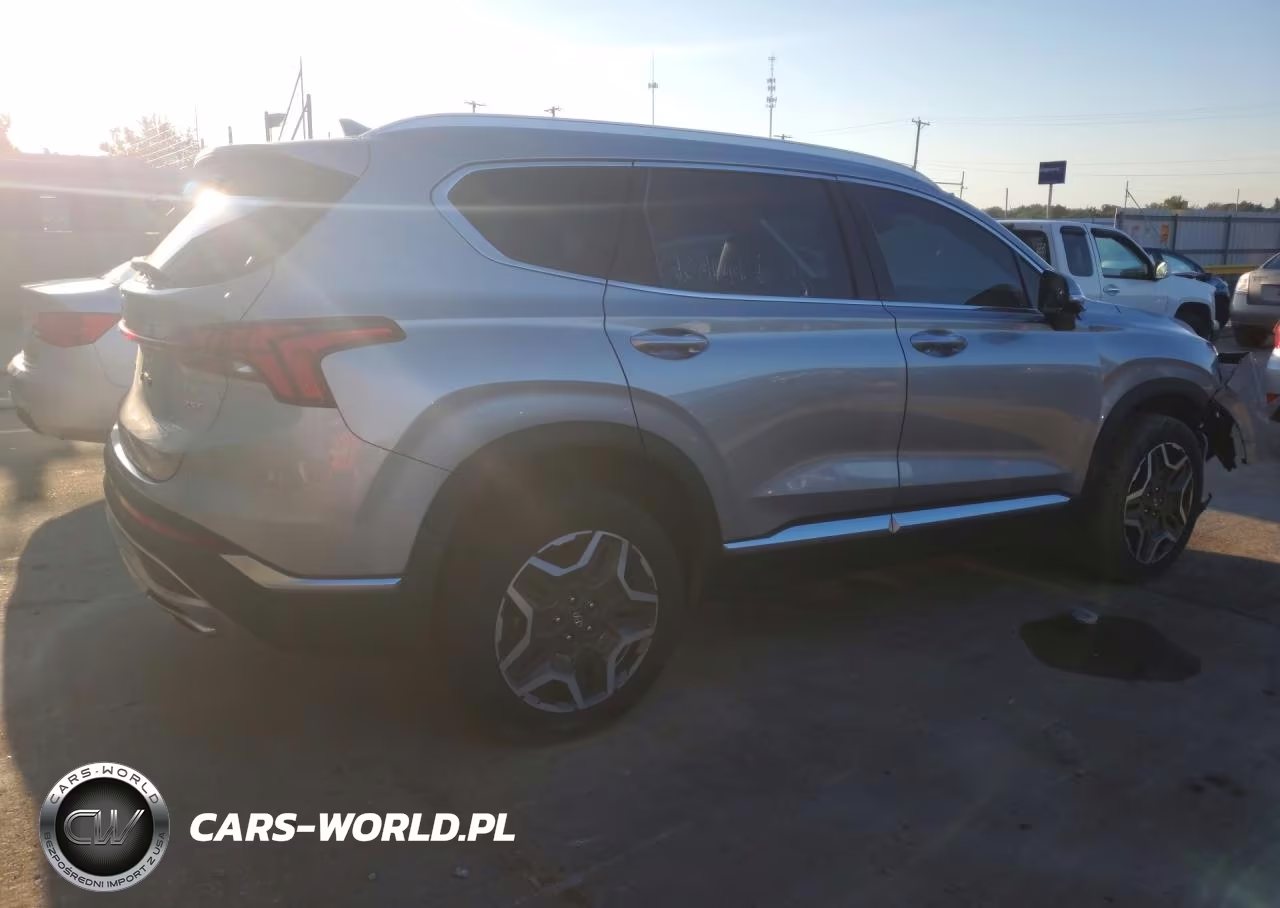2023 Hyundai Santa Fe Limited VIN:5NMS4DAL0PH653418 - 3