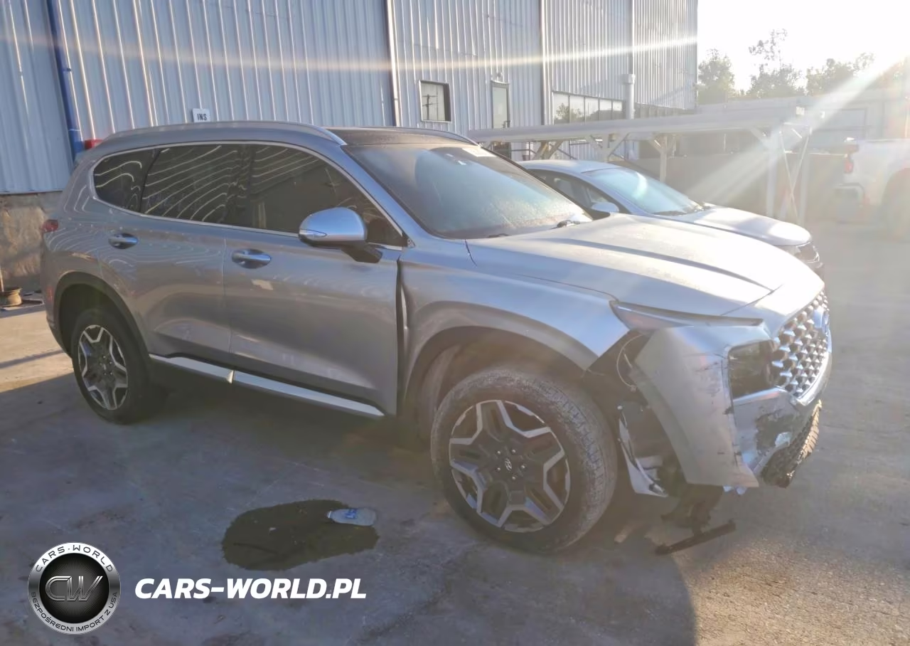 2023 Hyundai Santa Fe Limited VIN:5NMS4DAL0PH653418 - 4