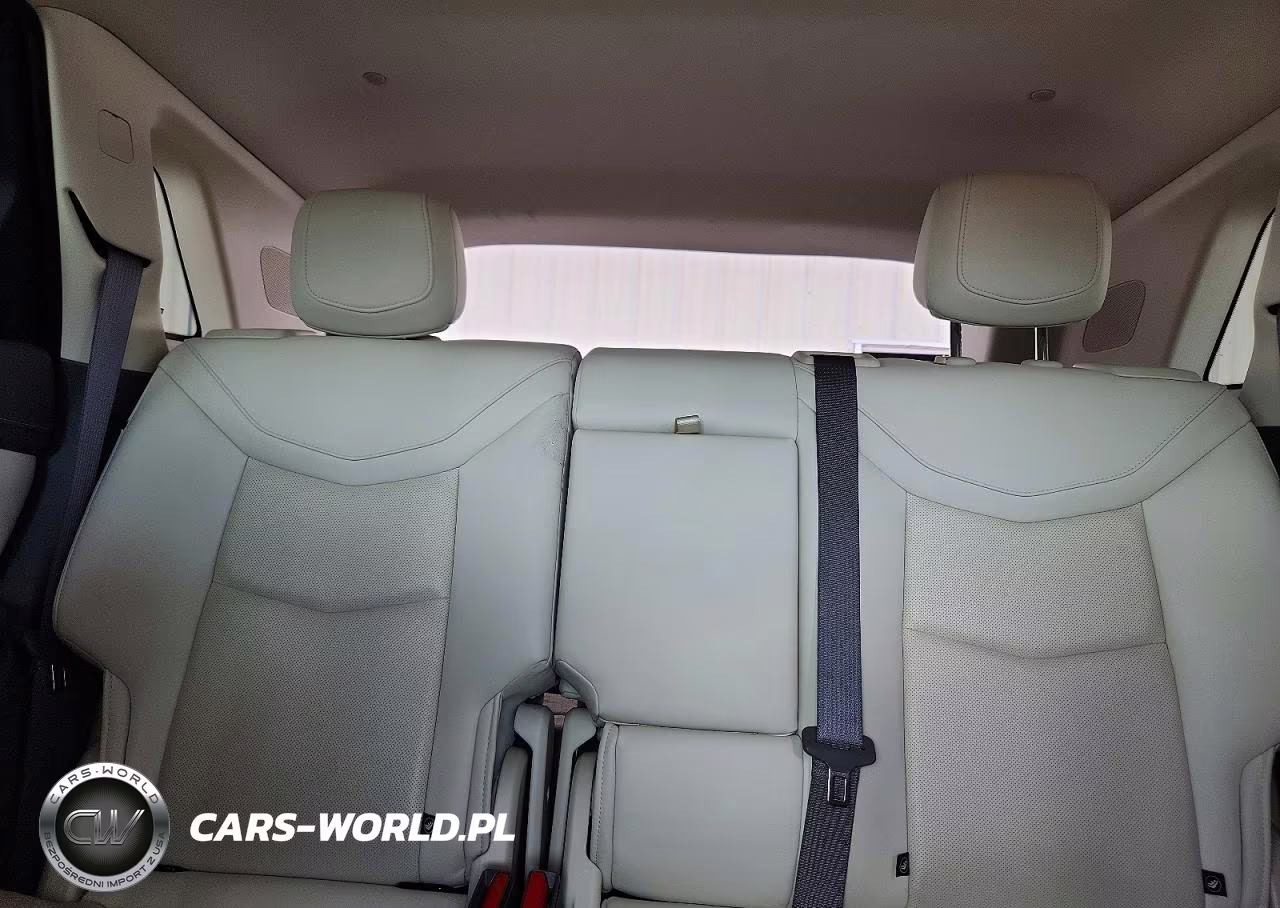 2021 Cadillac Xt5 Premium Luxury VIN:1GYKNCRS5MZ101188 - 10