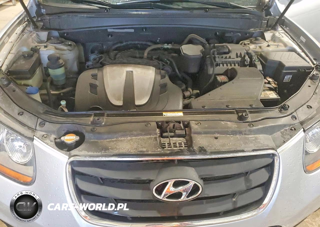 2010 Hyundai Santa Fe Se VIN:5NMSH4AG1AH340926 - 12