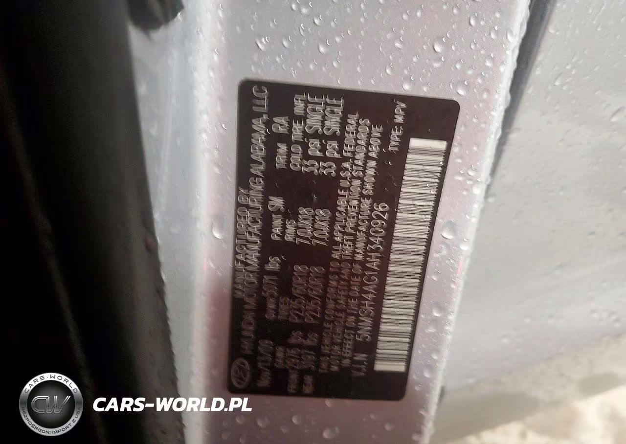 2010 Hyundai Santa Fe Se VIN:5NMSH4AG1AH340926 - 13