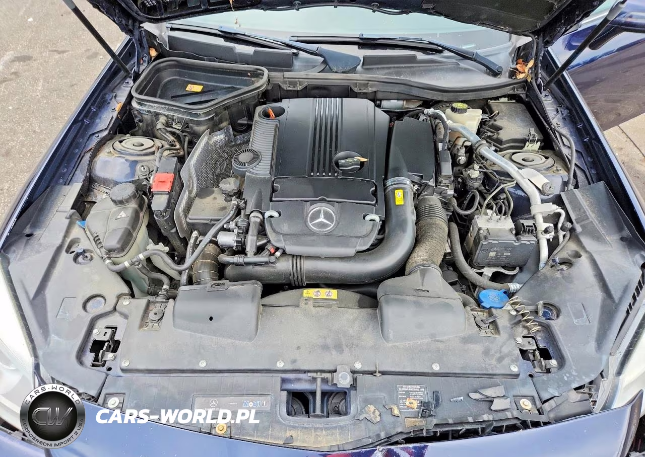 2013 Mercedes-Benz Slk 250 VIN:WDDPK4HA5DF051810 - 11