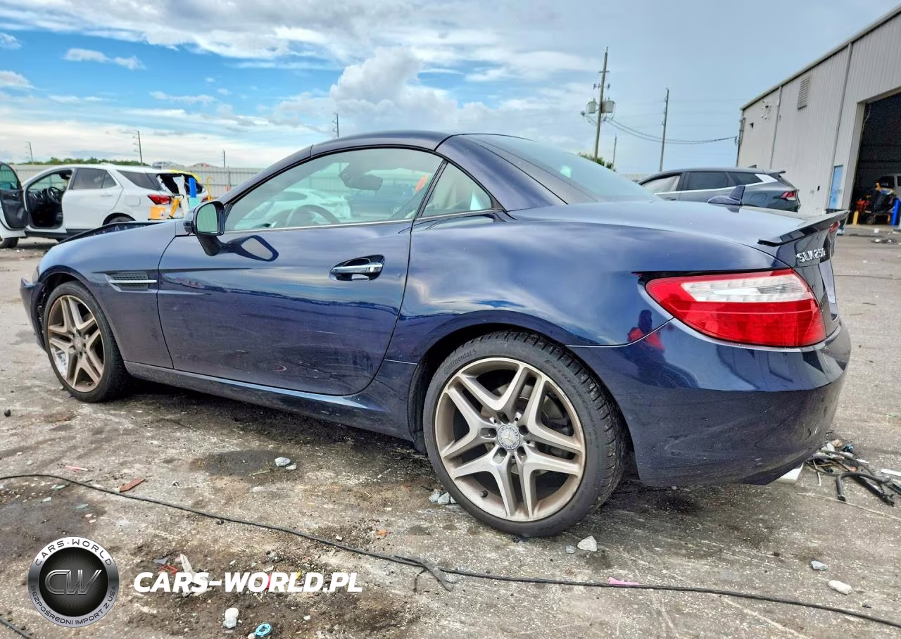 2013 Mercedes-Benz Slk 250 VIN:WDDPK4HA5DF051810 - 2