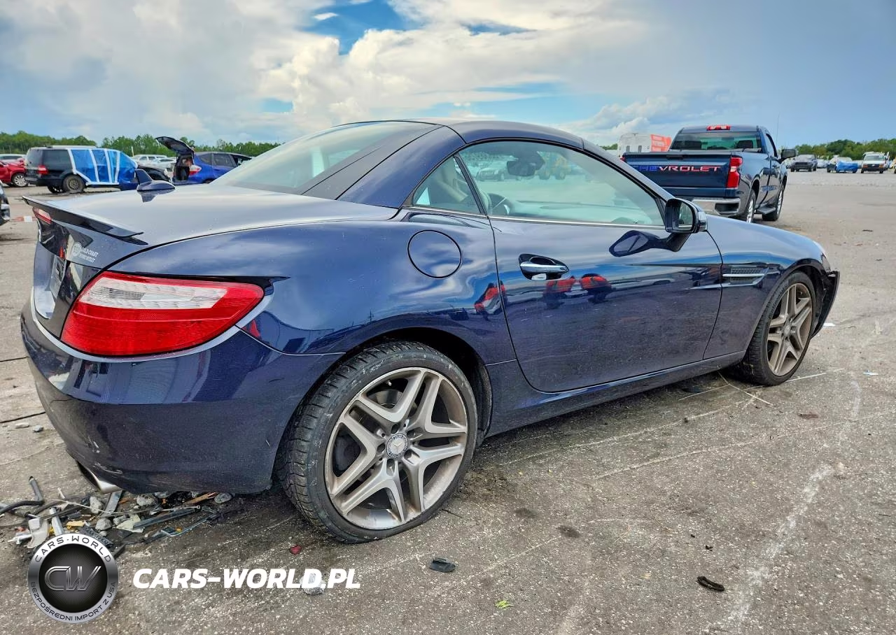 2013 Mercedes-Benz Slk 250 VIN:WDDPK4HA5DF051810 - 3