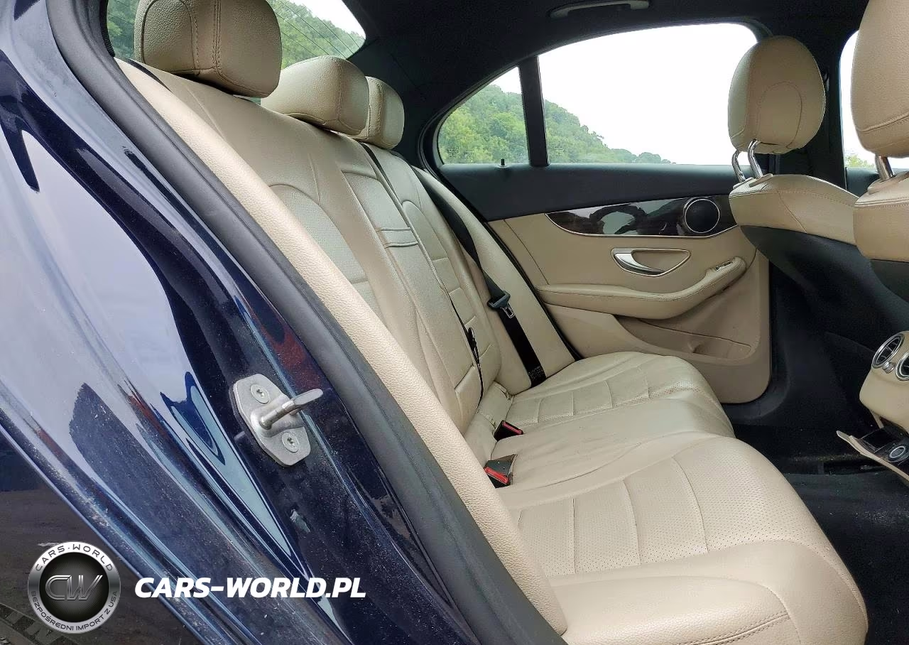 2018 Mercedes-Benz C 300 4Matic VIN:55SWF4KB7JU250528 - 10